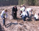 72 гектара земли засадили деревьями в Харьковской области