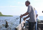В Украине запретили ловить рыбу: нерест