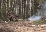 Меньше людей – меньше пожаров. Ходить в лес в Харьковской области запретят?