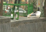 С начала года за пиво оштрафовали более трех тысяч харьковчан