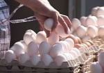 Инфляция в марте: больше всего подорожали яйца, но стал дешевле сахар