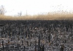 На Харьковщине горят гектары прошлогодней травы
