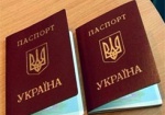В МВД заявили, что выдачу загранпаспортов возобновили