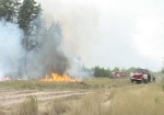 Большинство лесных пожаров возникает по вине человека. Могут ли на Харьковщине противостоять огненной стихии?