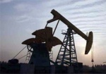 Украина будет переправлять в Беларусь венесуэльскую нефть