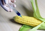 Госпотребстандарт: Более 5% продуктов питания в Украине содержат ГМО