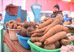 Областные власти придумали, как обеспечить Харьков качественной сельхозпродукцией