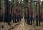 Депутаты одного из сельсоветов Харьковщины незаконно отдали земли лесхоза