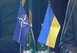 Вступление Украины в НАТО откладывается