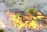 В районе Мерефянского шоссе горел лес