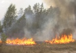 В Чугуевском районе горело 3 гектара леса