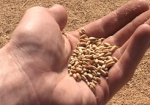 Харьковская область получит 30 тысяч тонн зерна для посевной