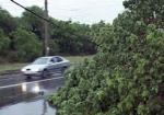На Харьков обрушился ураган. Стихия обрывала провода, валила деревья и унесла одну жизнь