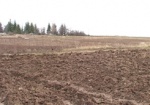 Земельная лихорадка. В очереди за актами собственности на землю в Харьковской области стоят около 60 тысяч человек