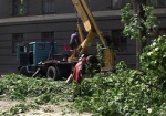 Департамент градостроительства: В Харькове слишком много деревьев