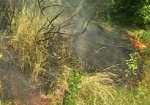 Экоинспекция оштрафовала 14 человек за выпаливание травы