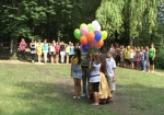 Более 250 детей-льготников оздоровятся этим летом в лагере «Березка». Областные власти закупают путевки