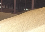 Харьковская область планирует закупить около 160 тысяч тонн продовольственного зерна