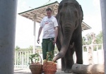 В воскресенье в зоопарке будут отмечать день рождения слонихи Тенди