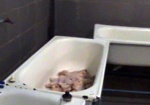 Харьковские правоохранители «накрыли» нелегальный цех по переработке мяса