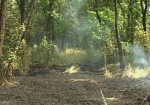 За выходные на Харьковщине пять раз горел лес