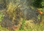 В Купянском районе сгорело 7 гектаров сухой травы