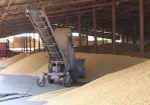 Пшеницу Купянского хлебоприемного предприятия проверит независимая комиссия