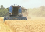 На Харьковщине собрали почти половину урожая ранних зерновых
