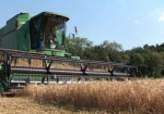 До конца уборочной – неделя. На полях Харьковщины собирают за день по 50 тысяч тонн зерна