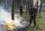 Харьковские спасатели помогают тушить лес на Луганщине