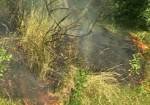 На выходных сухая трава в области горела почти 30 раз