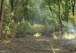 В области горит сухая трава. Огонь распространяется и на жилища
