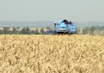 На Харьковщине почти завершили уборку ранних зерновых