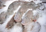 В азиатской рыбе и морепродуктах обнаружили стронций и антибиотики