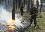 Харьковские спасатели помогают днепропетровским и российским коллегам тушить лесные пожары