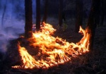 На Харьковщине горели изюмские леса