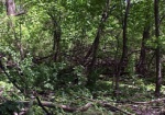 Харьковчанам запретили ходить в лес