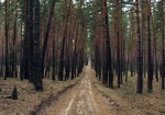 Добкин: Увижу в лесу огонь – чиновники поплатятся головой