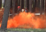 С начала года в Харьковской области сгорело 167 гектаров леса