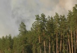 В Красноградском районе тушили верховой лесной пожар