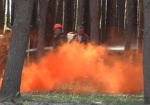 В Харьковском районе горело около гектара леса