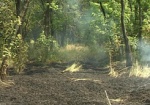 Три гектара травы горели под Харьковом