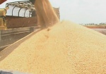 Область обеспечена зерном на следующую посевную на 40%