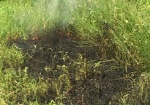 За три дня пожарные более 50 раз выезжали на тушение сухой травы, мусора и лесной подстилки