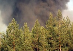 Пожар в Двуречанском районе. Горит 15 гектаров леса