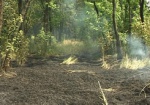 В области продолжает гореть сухая трава