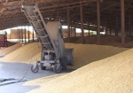 Кабмин пока не будет ограничивать экспорт зерна