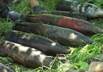 В Харькове в лесополосе нашли десяток артснарядов
