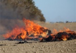 В одном селе сразу в трех дворах горели сеновалы. Огонь уничтожил 50 тонн сена и соломы