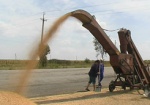 Украина планирует продать в Грузию 150 тысяч тонн пшеницы